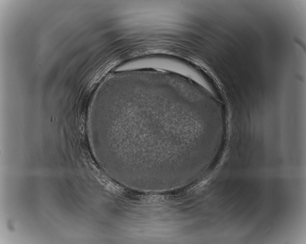 X0000099460785200805231805