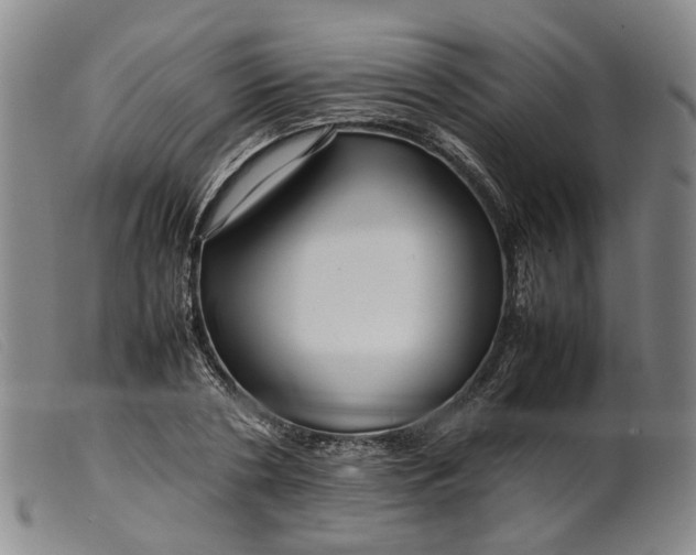 X0000099460786200805231805