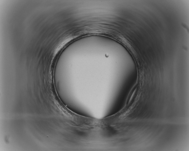 X0000099460787200805231805