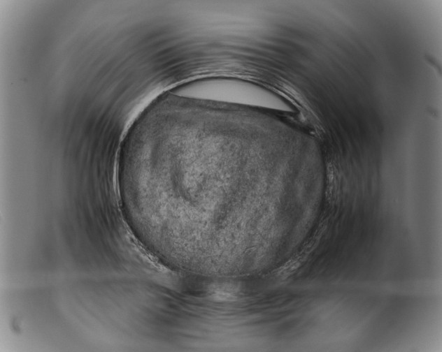 X0000099460788200805231805