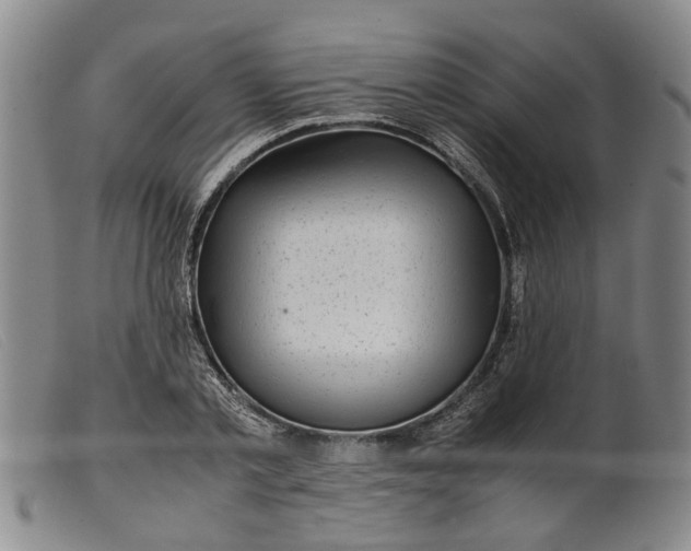 X0000099460789200805231805