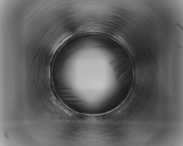 X0000099460790200805231805