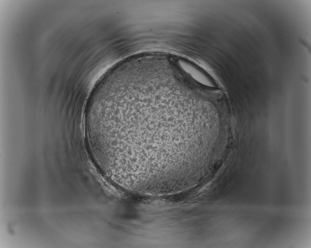 X0000099460791200805231805