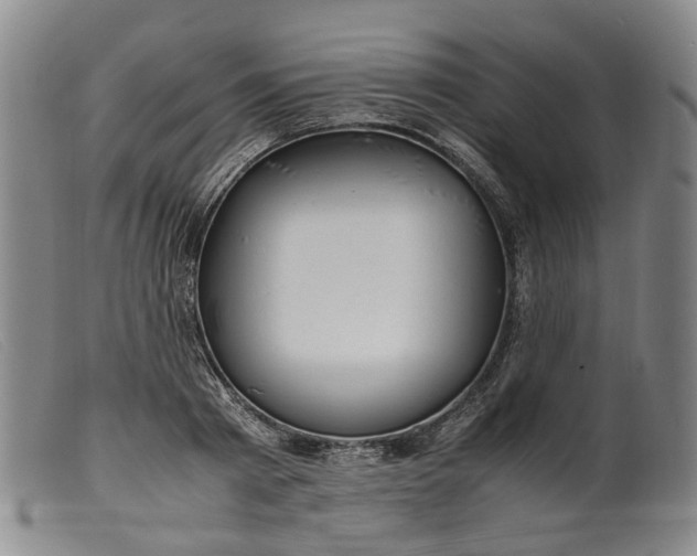 X0000099460793200805231805