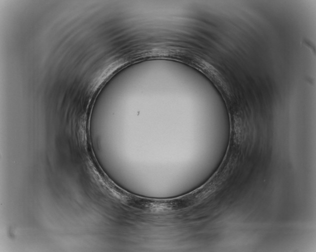 X0000099460794200805231805