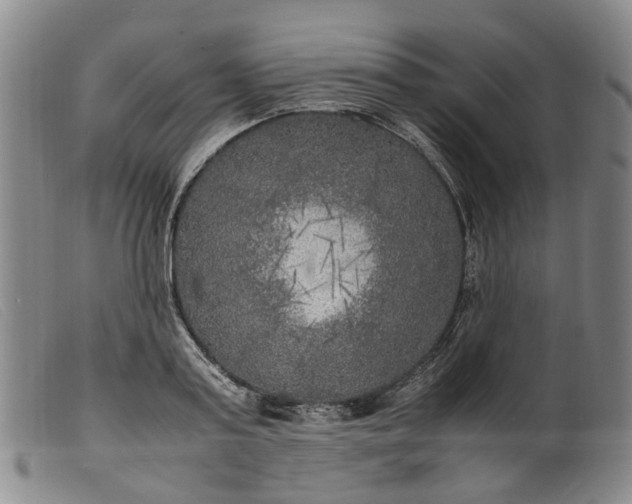 X0000099460795200805231805