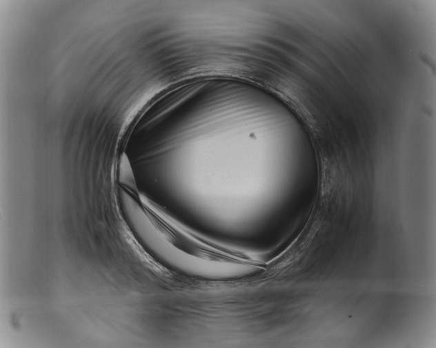 X0000099460796200805231805