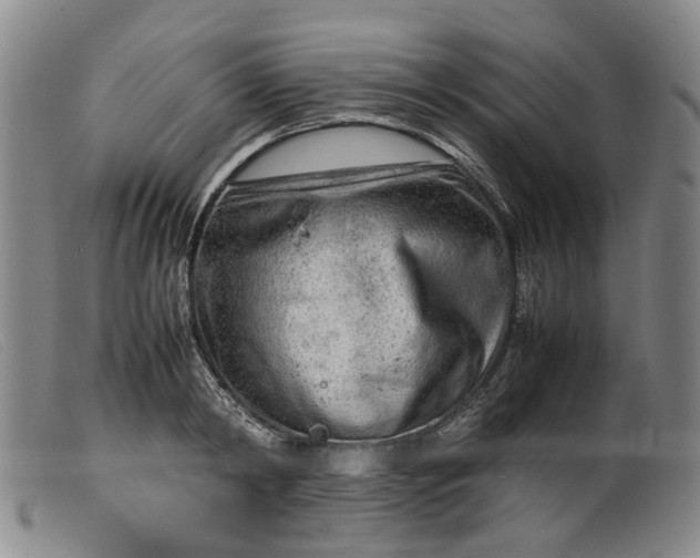 X0000099460798200805231805