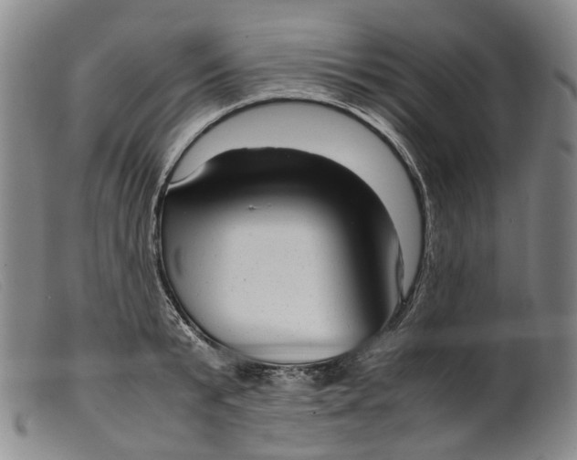 X0000099460799200805231805