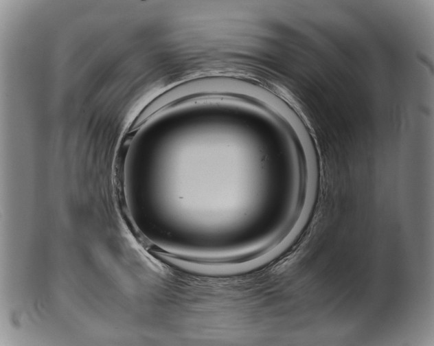 X0000099460803200805231805