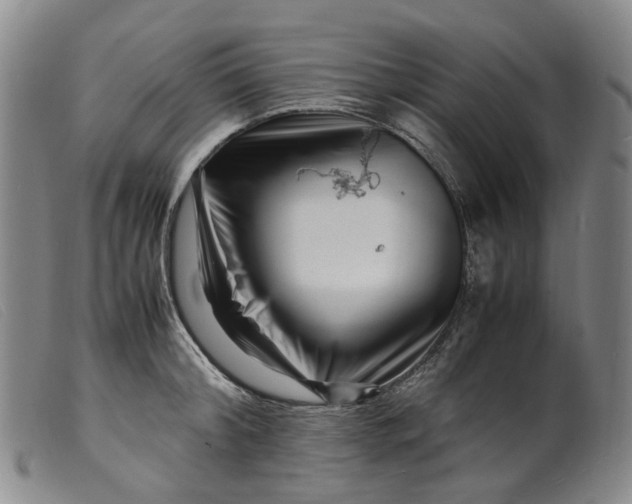 X0000099460804200805231805