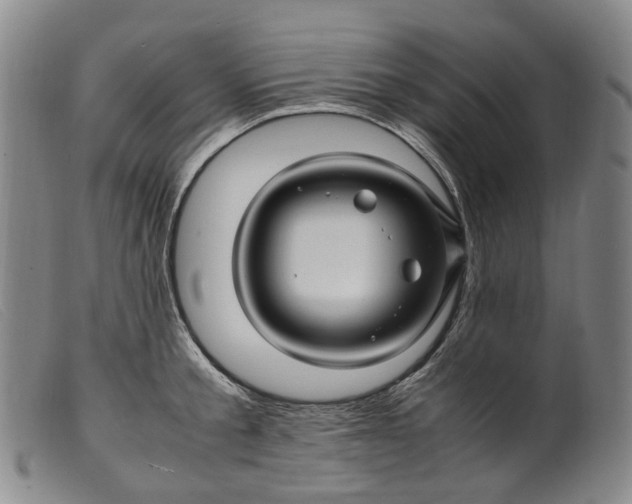 X0000099460805200805231805