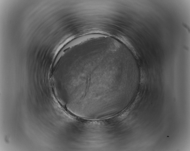 X0000099460806200805231805