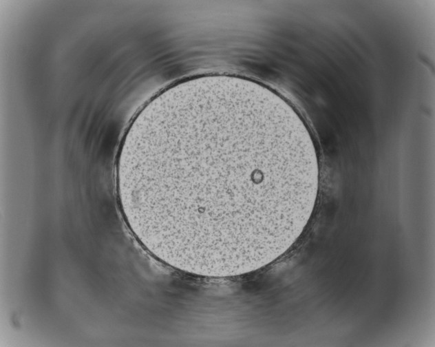 X0000099460807200805231805