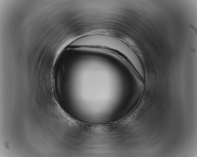 X0000099460808200805231805