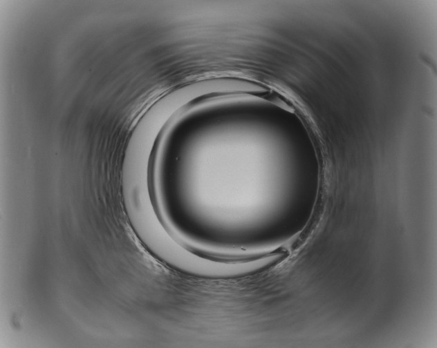 X0000099460809200805231805