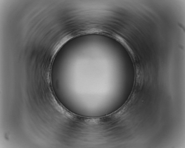 X0000099460810200805231805