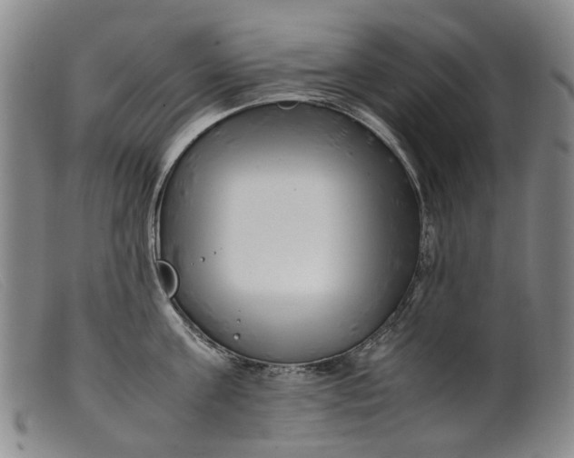 X0000099460811200805231805