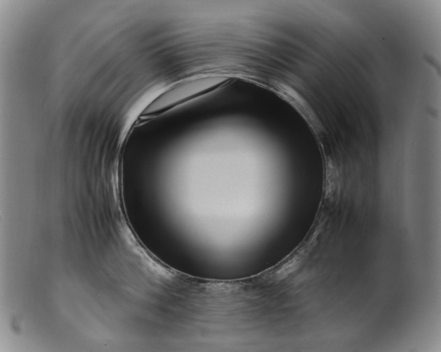 X0000099460812200805231805