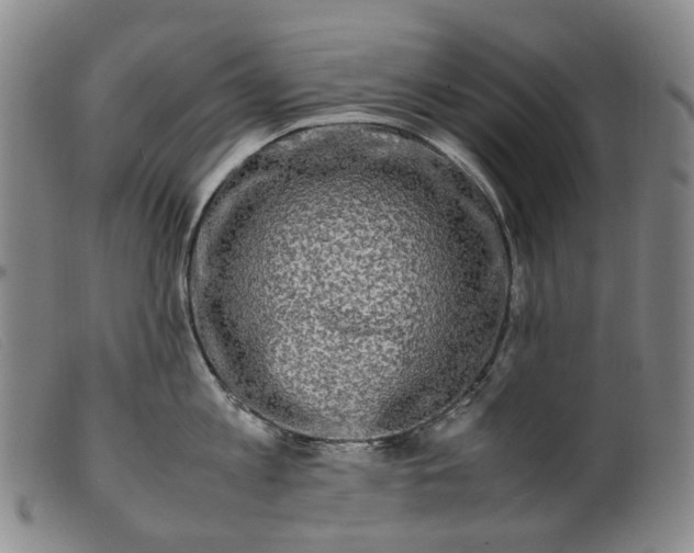 X0000099460813200805231805