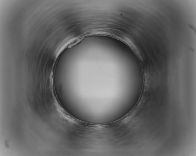 X0000099460814200805231805