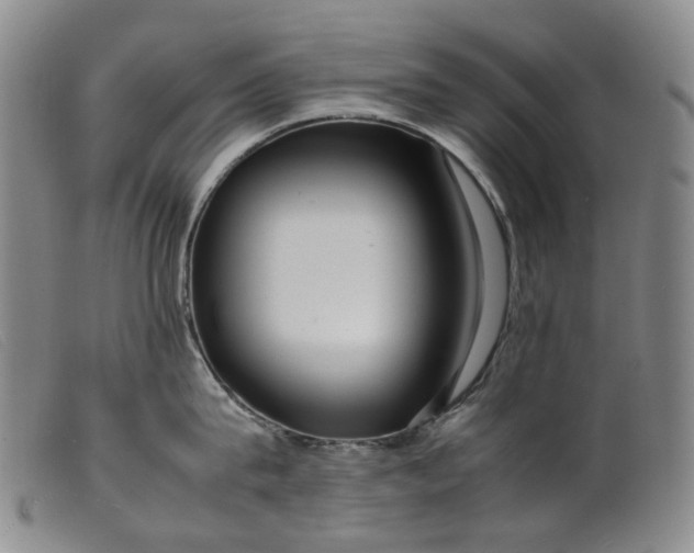 X0000099460815200805231805