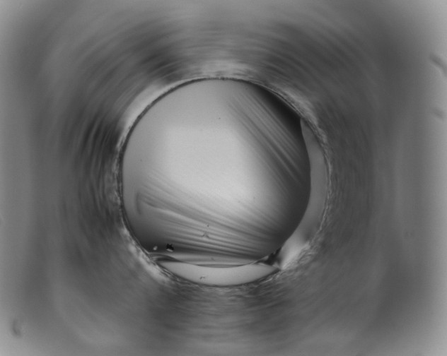 X0000099460816200805231805