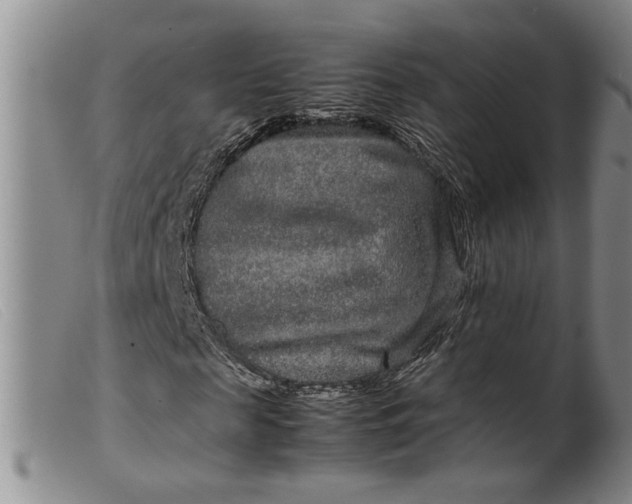 X0000099460817200805231804