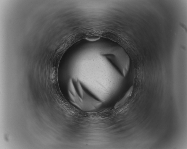 X0000099460818200805231804