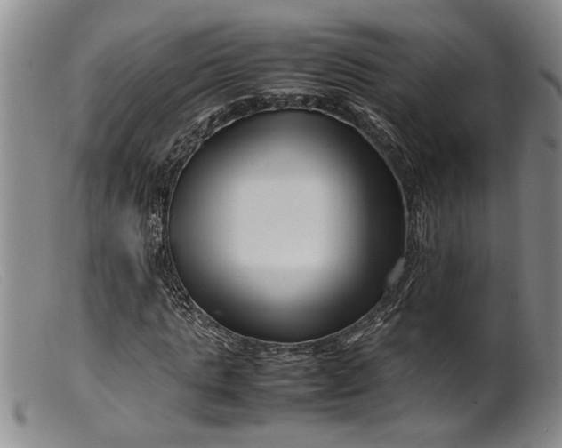 X0000099460821200805231804