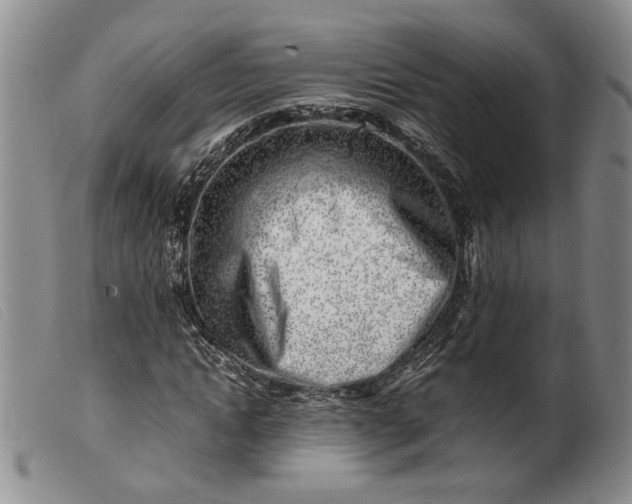 X0000099460822200805231804