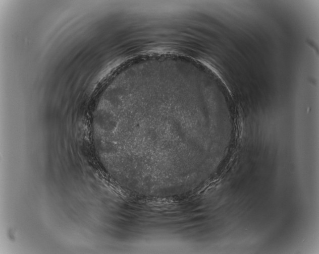 X0000099460823200805231804