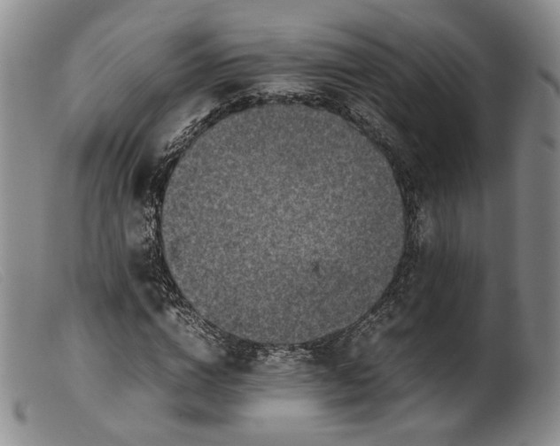 X0000099460824200805231804