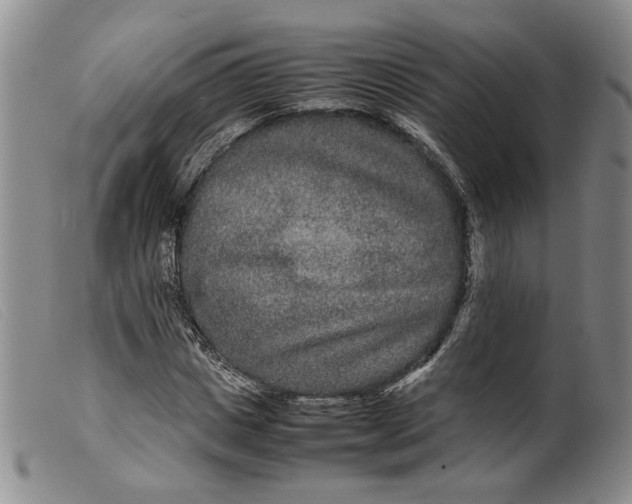 X0000099460825200805231804