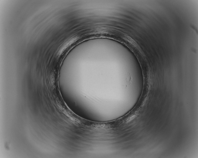 X0000099460826200805231804