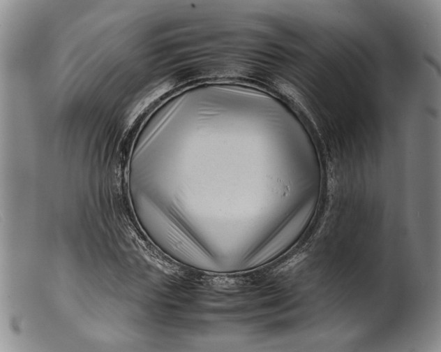 X0000099460827200805231804