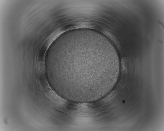 X0000099460828200805231804