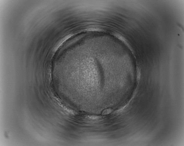 X0000099460829200805231804