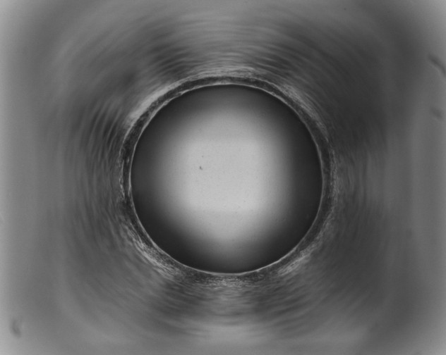 X0000099460830200805231804