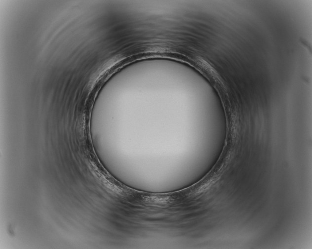 X0000099460831200805231804