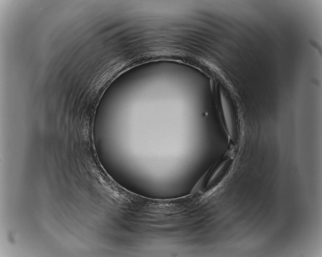 X0000099460833200805231804