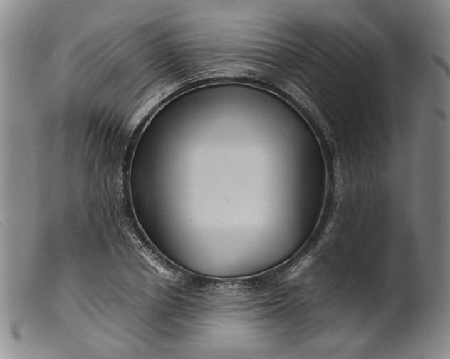 X0000099460834200805231804