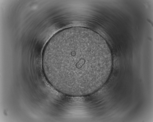 X0000099460836200805231804