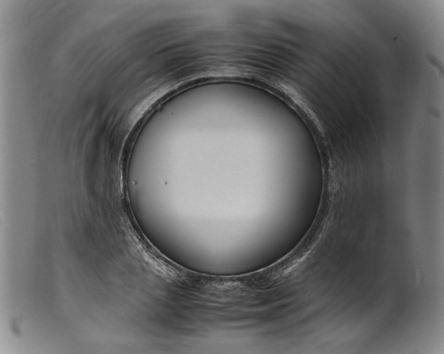 X0000099460837200805231804