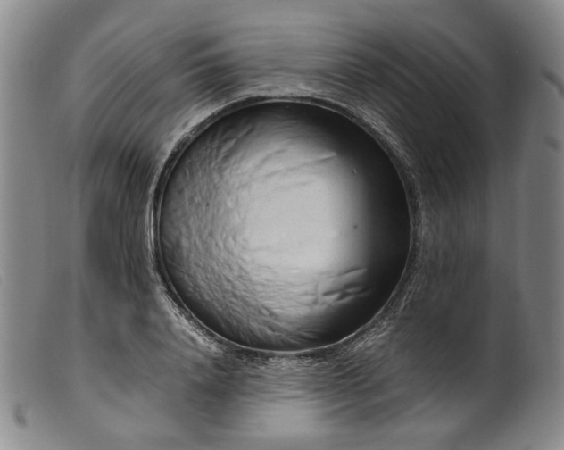 X0000099460840200805231804