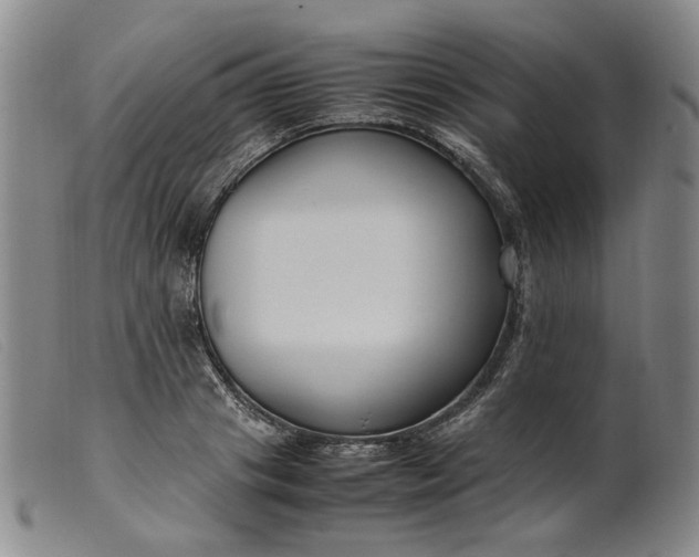 X0000099460841200805231804