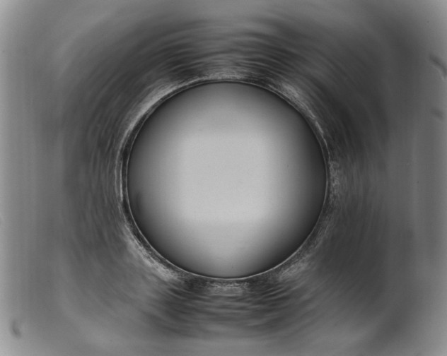 X0000099460843200805231804