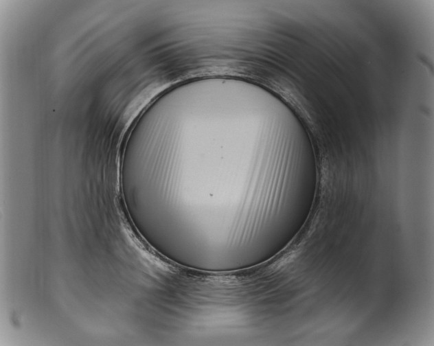 X0000099460844200805231804