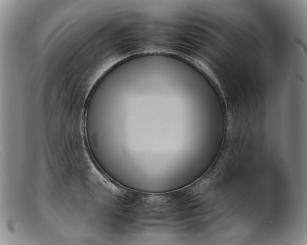 X0000099460847200805231804