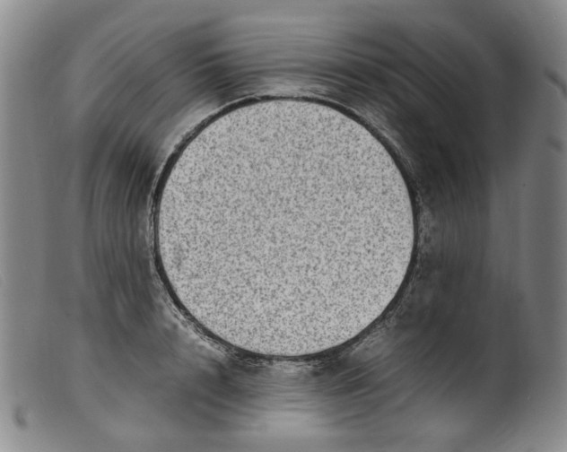 X0000099460848200805231804